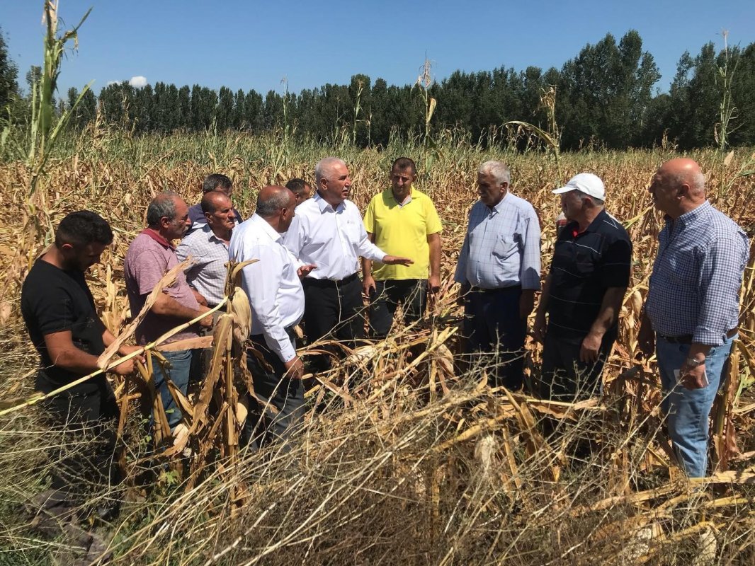CHP’Lİ DURMAZ: “MISIRDA YAPILMASI GEREKEN İTHALATIN ÖNÜNÜ AÇMAK DEĞİL, ÜRETİCİNİN ÖNÜNÜ AÇMAKTIR”
