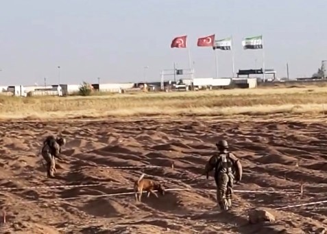 Öncüpınar Sınır Hattı’nda mayın temizleme çalışmaları sürüyor
