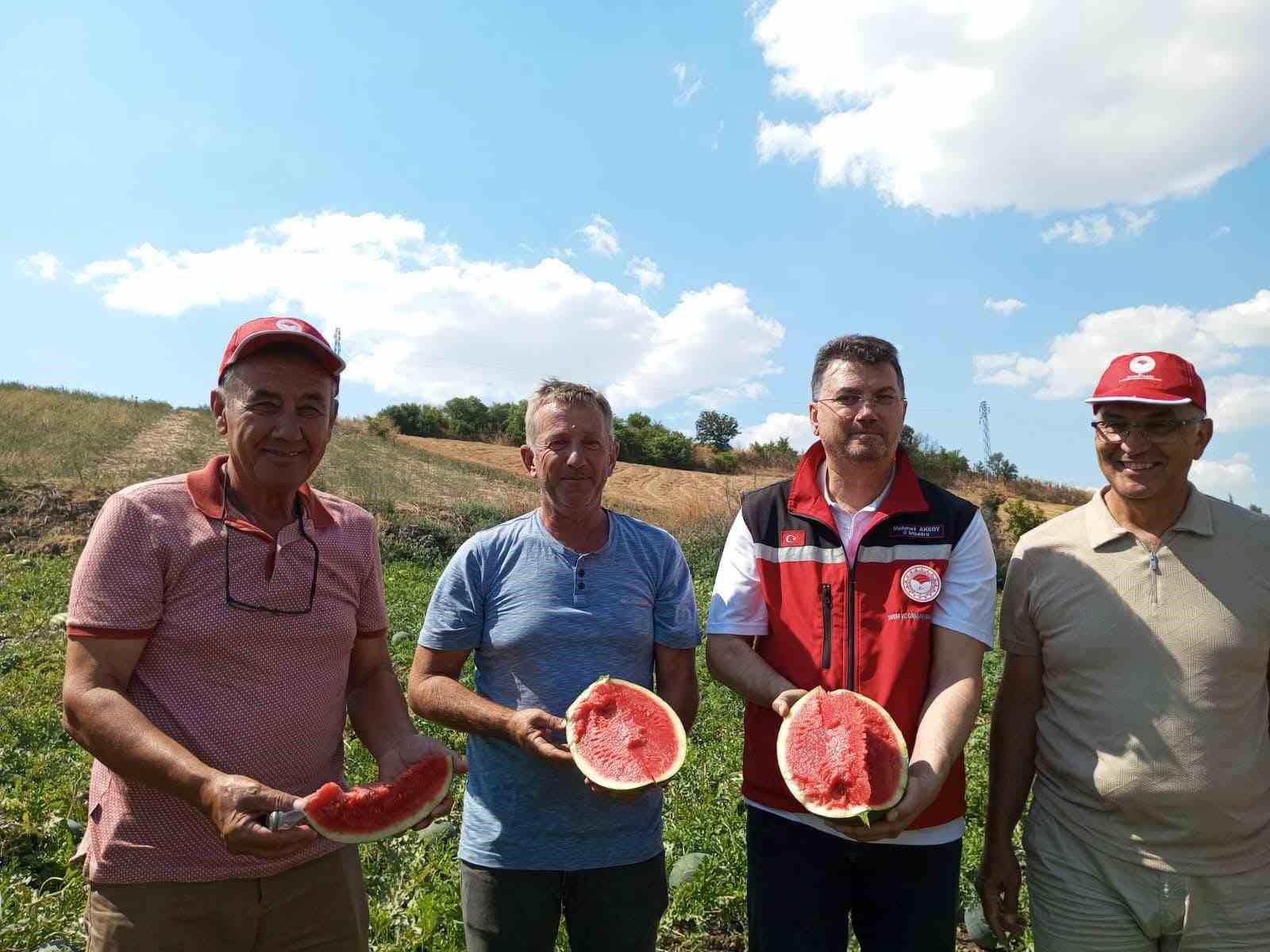 Tekirdağ karpuzu tezgâhlara çıkıyor