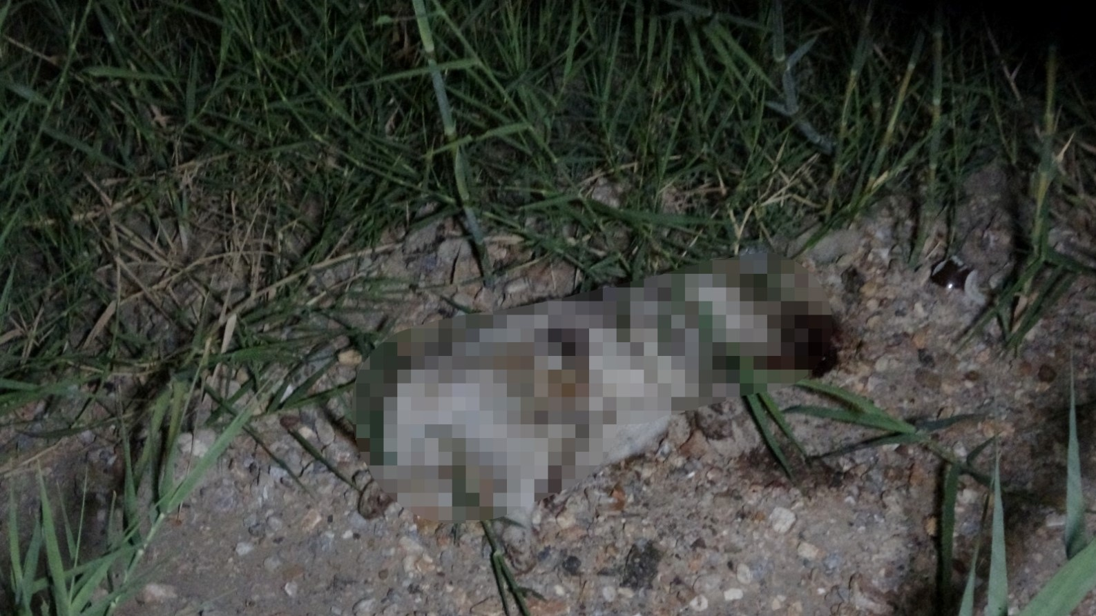 ATV aracın çarptığı yavru köpeğin taşla öldürüldüğü iddiası ortalığı karıştırdı