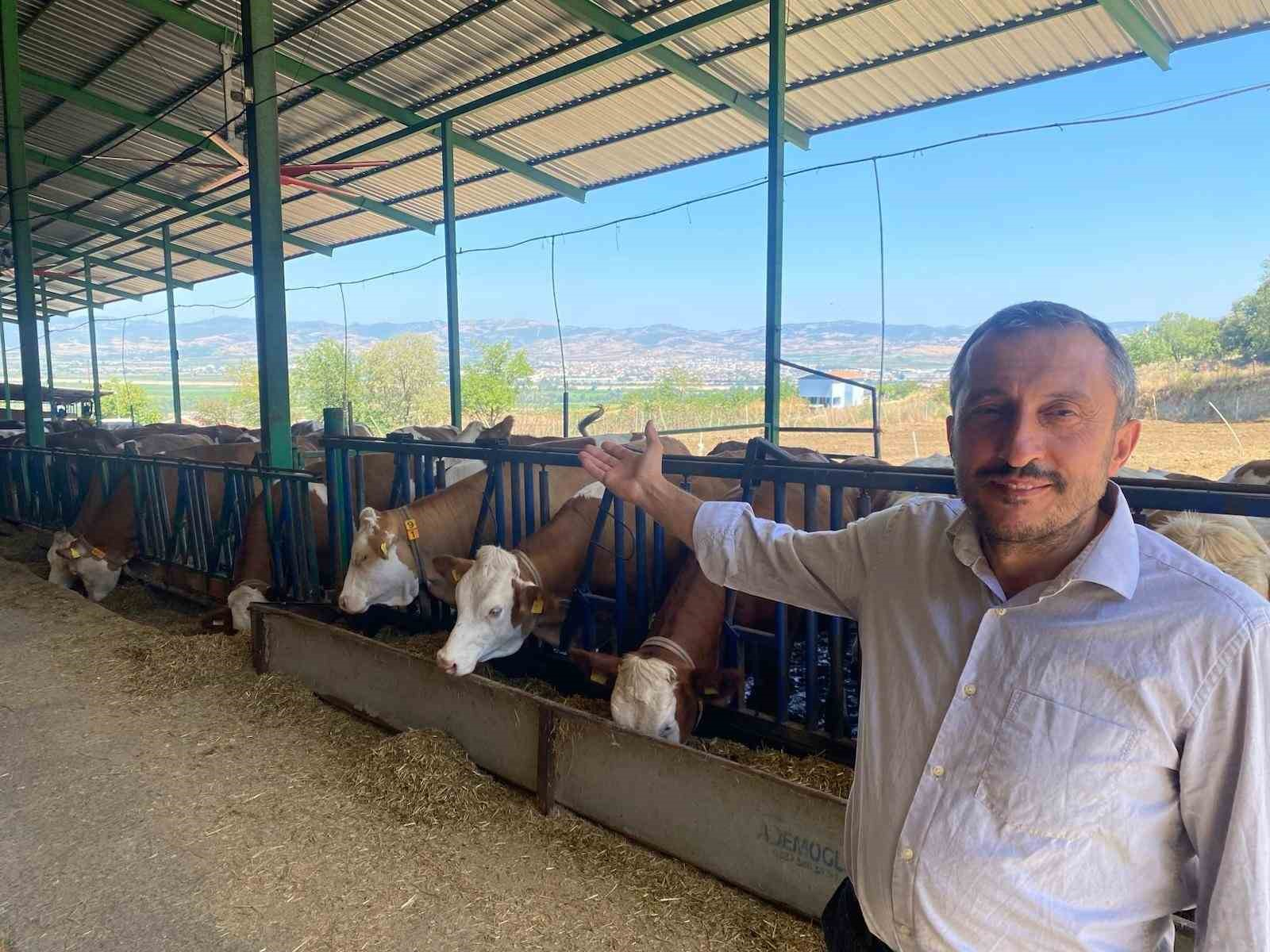 Kaliteli süt nasıl olmalı