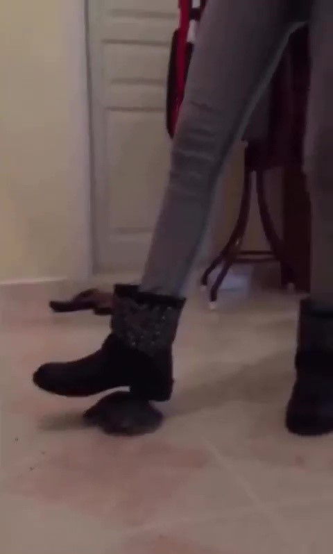 Kaplumbağayı ayağıyla ezen şüpheli gözaltına alındı