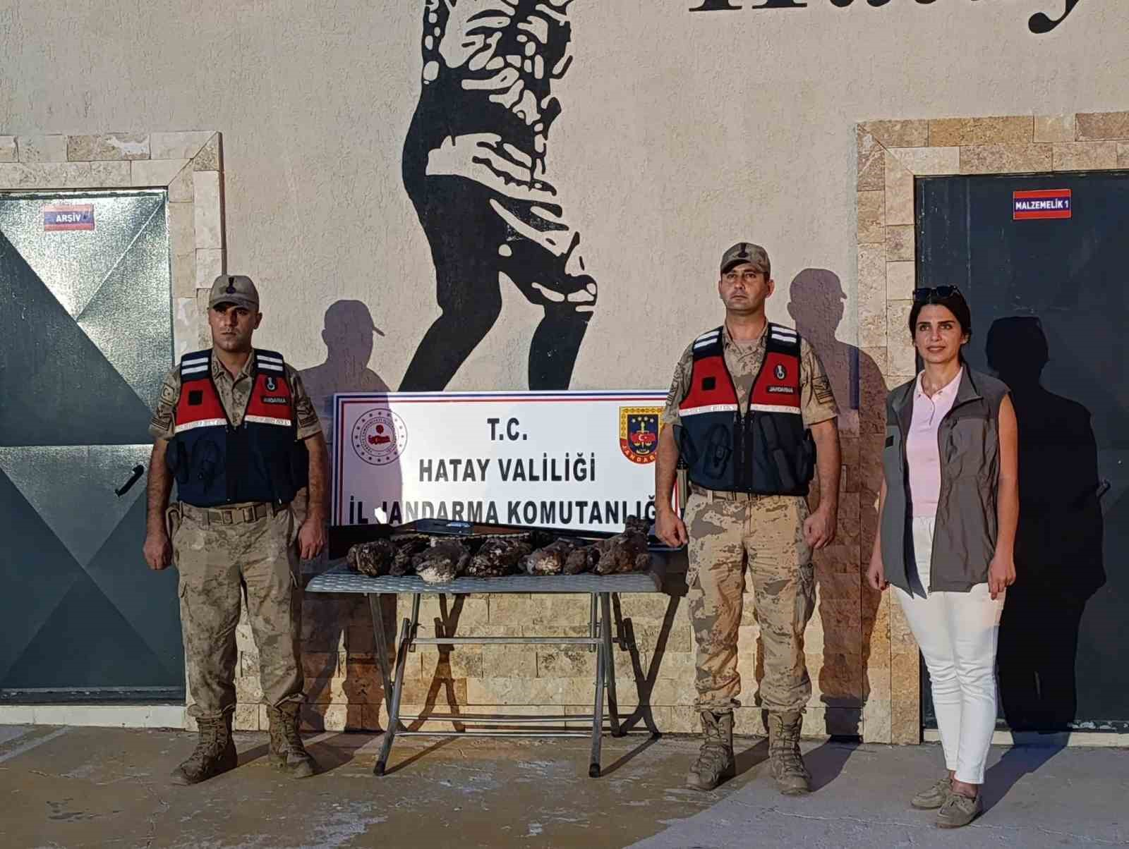 Hatay’da 7 arı şahini avlayan şahsa ceza yağdı