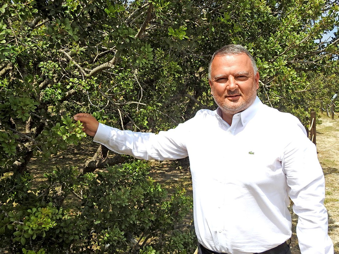 Çeşme damla sakızı uluslararası bilimsel yayına konu oldu