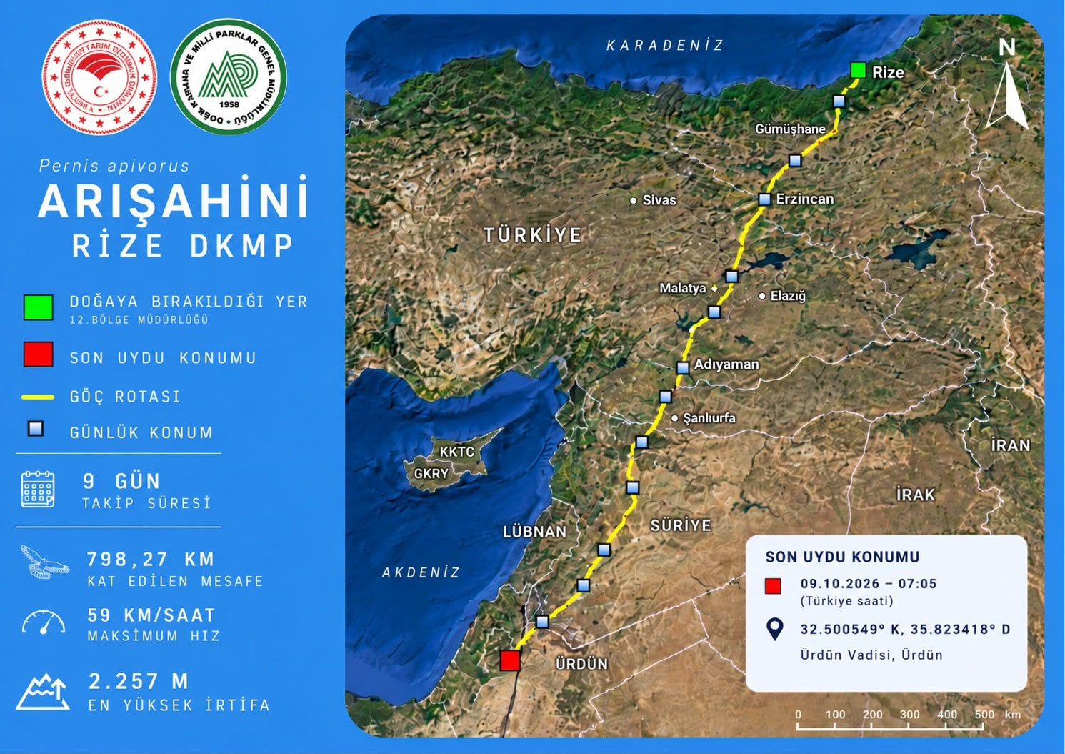 Rize’de doğaya salınmıştı, 9 günde Ürdün’e ulaştı