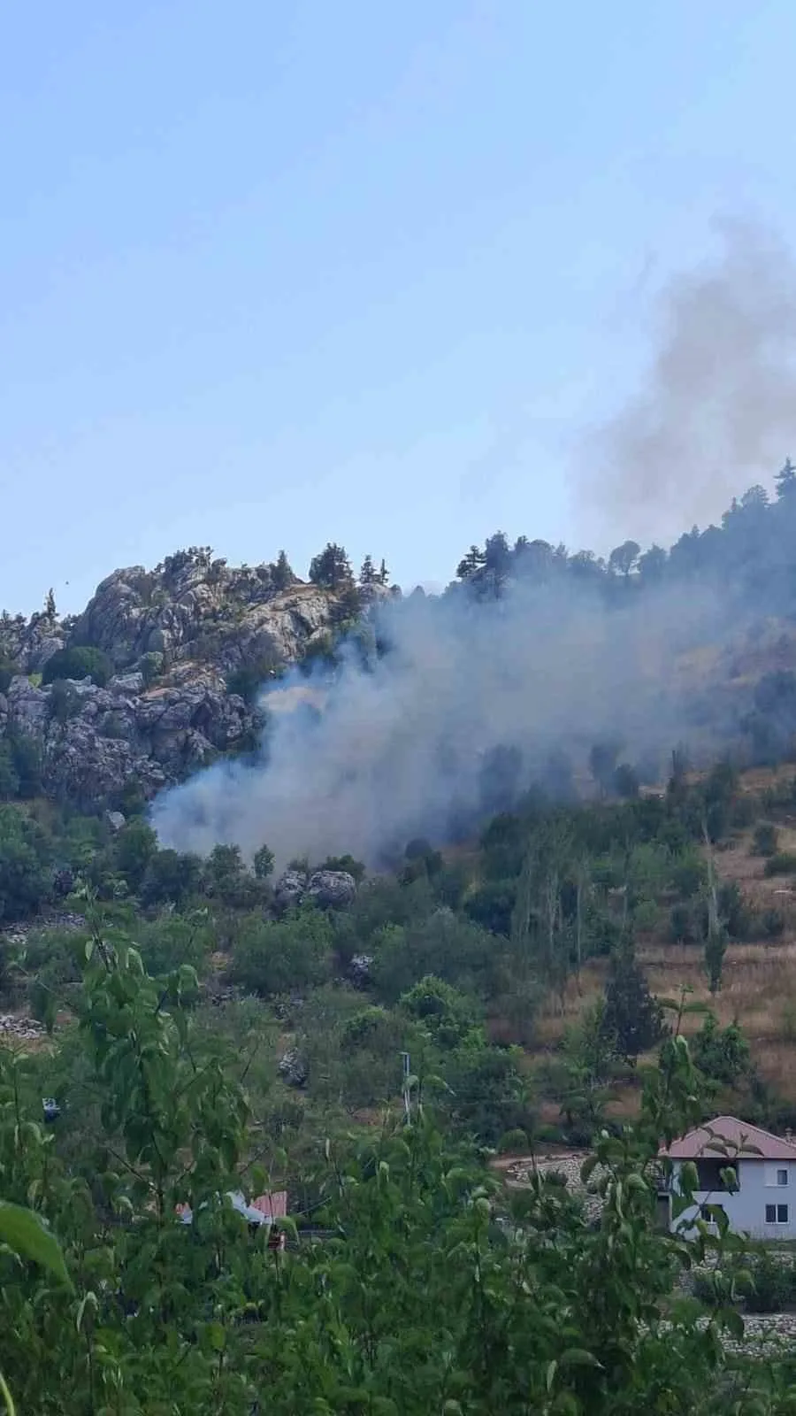 Alanya’da zirai alanda çıkan yangın söndürüldü