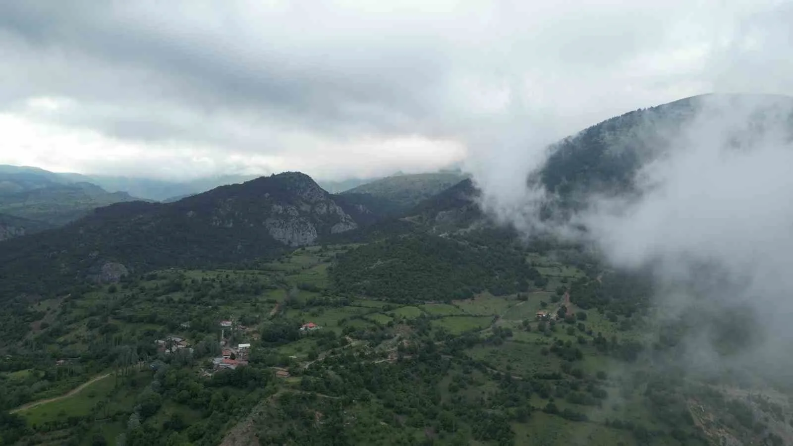 Amasya’da ormanlık alanlara girişler yasaklandı