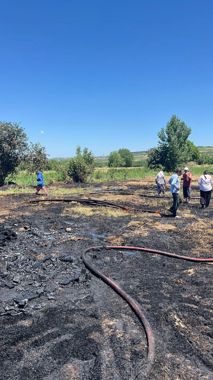 Anız alevi 20 dönümü küle çevirdi