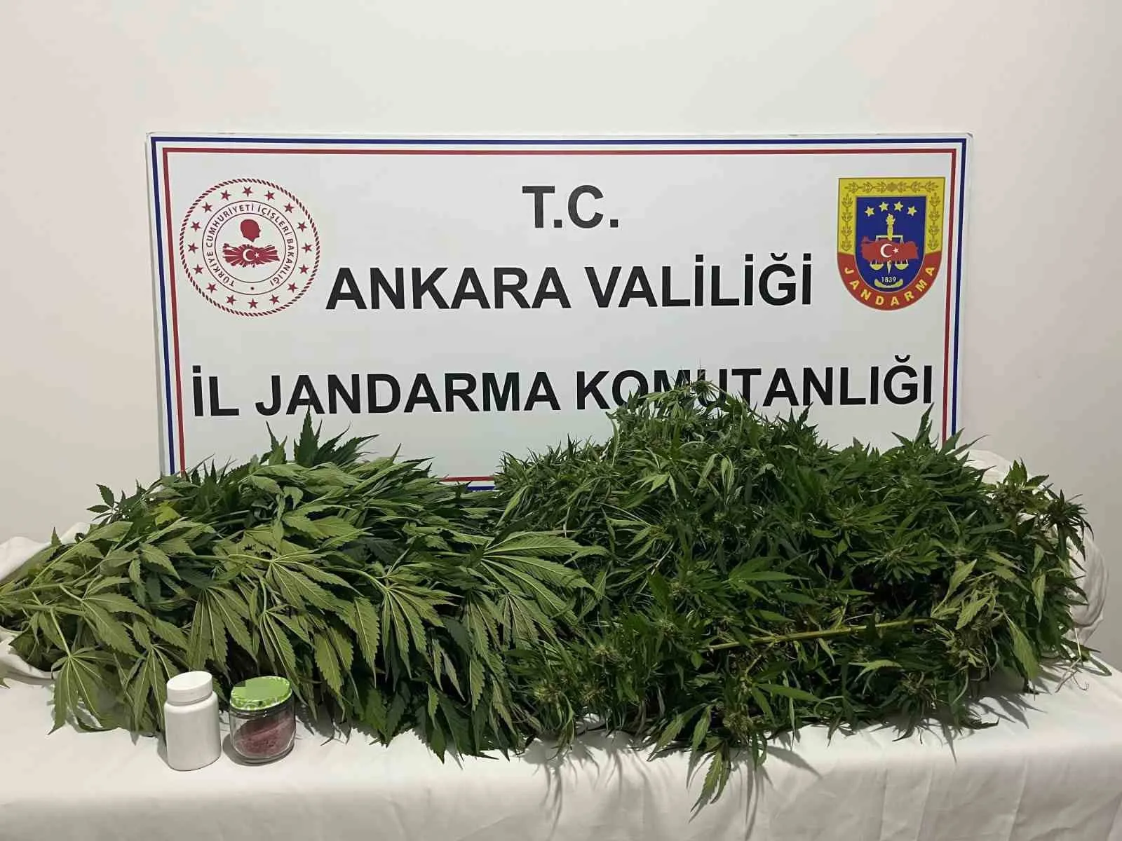 Ankara’daki narkotik operasyonunda 150 kök kenevir ele geçirildi