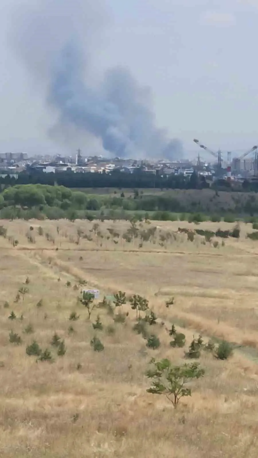Ankara’daki ot yangını kontrol altına alındı