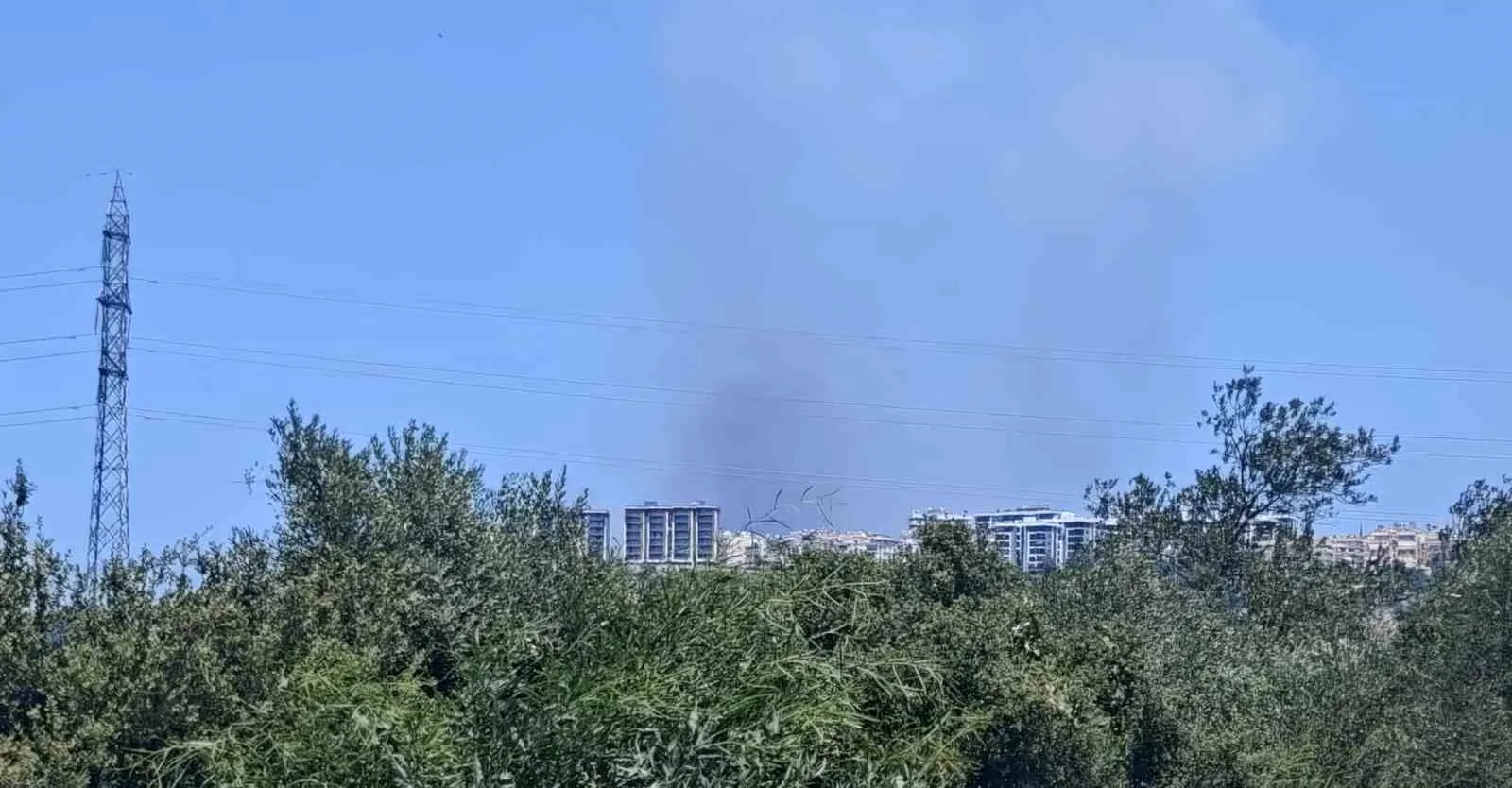 Antalya’da ormanlık alanda yangın