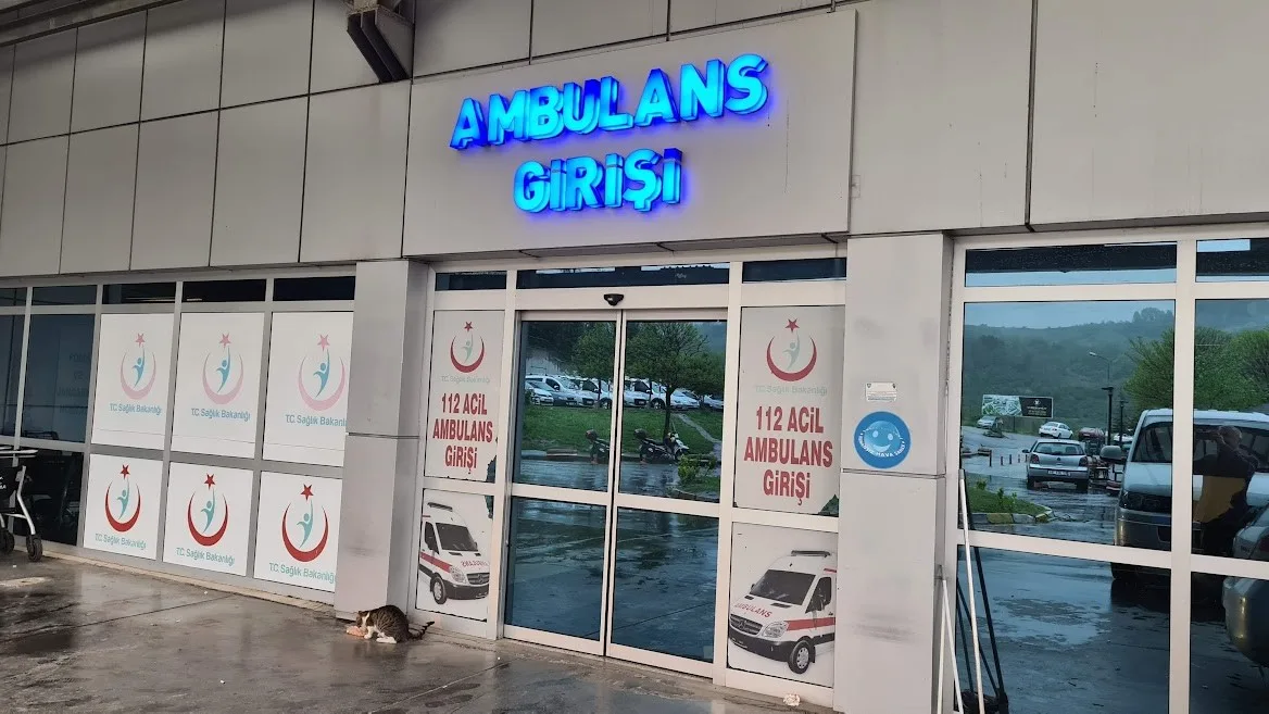 Arı sokması sonucu yoğun bakıma kaldırıldı