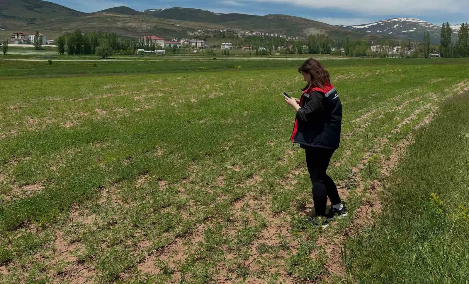 Aydıntepe’de ürün tespit çalışmaları sürüyor