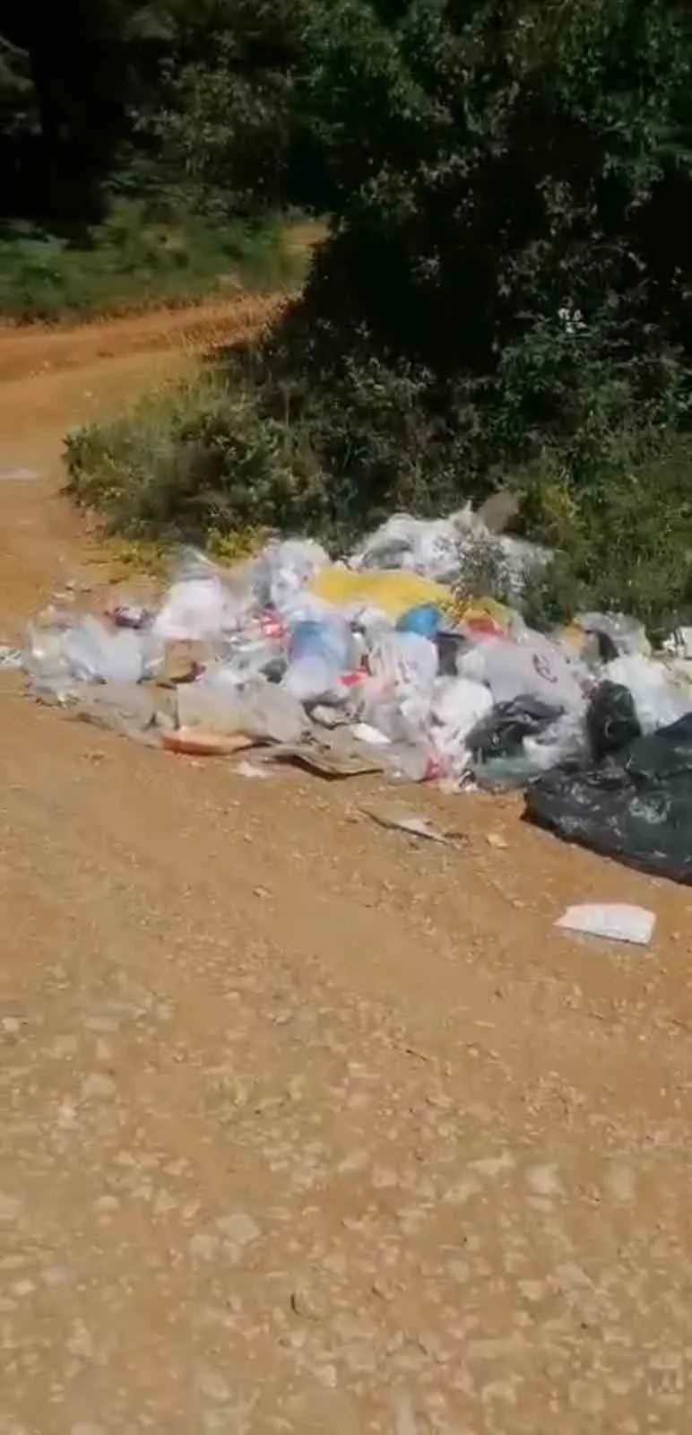 Balık tutmak için gittiği gölde çöp yığınıyla karşılaştı: Poşet poşet topladı