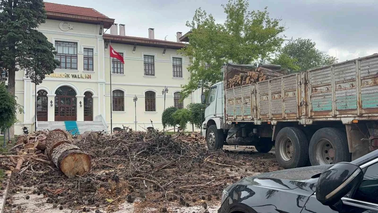 Bilecik Valiliği bahçesindeki dev çam ağaçları kesildi
