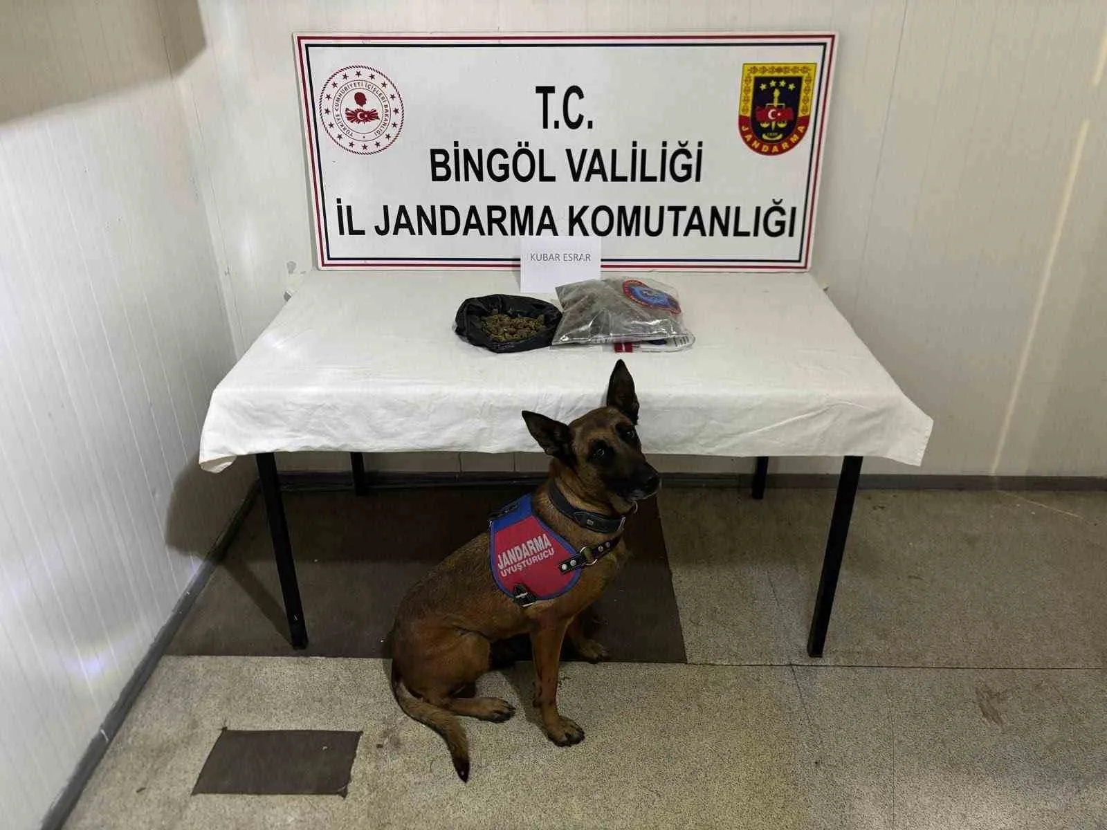 Bingöl’de haklarında kesinleşmiş hapis cezası bulunan 4 zanlı tutuklandı