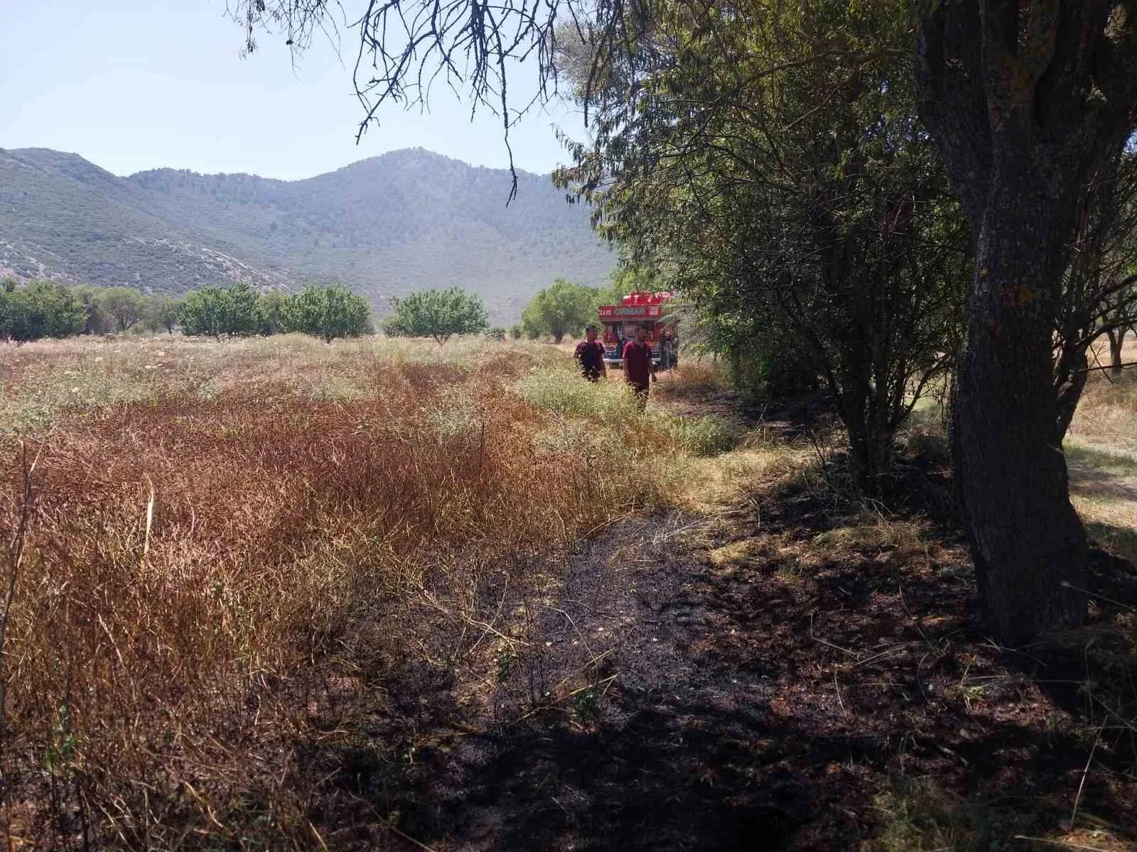Burdur’da tarlada yangın