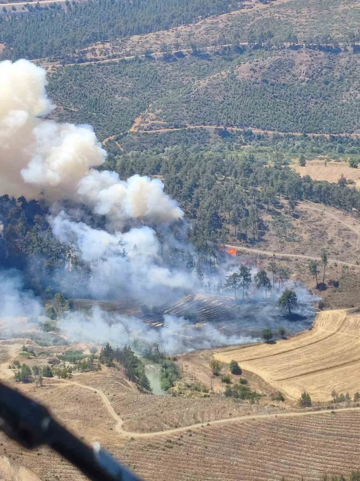Bursa’da otluk alanda çıkan yangın ormana sıçradı