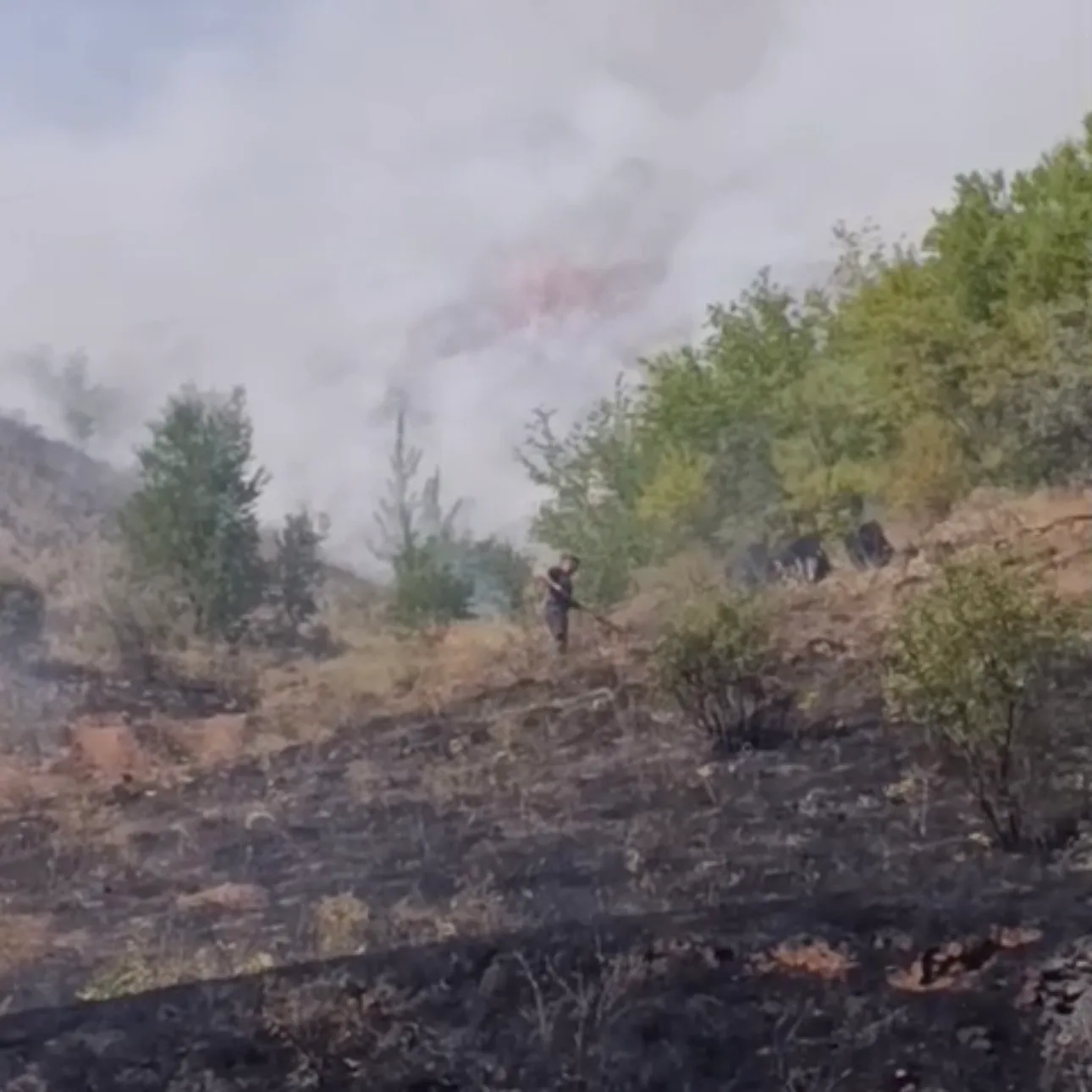 Çankırı’da çıkan arazi yangını söndürüldü