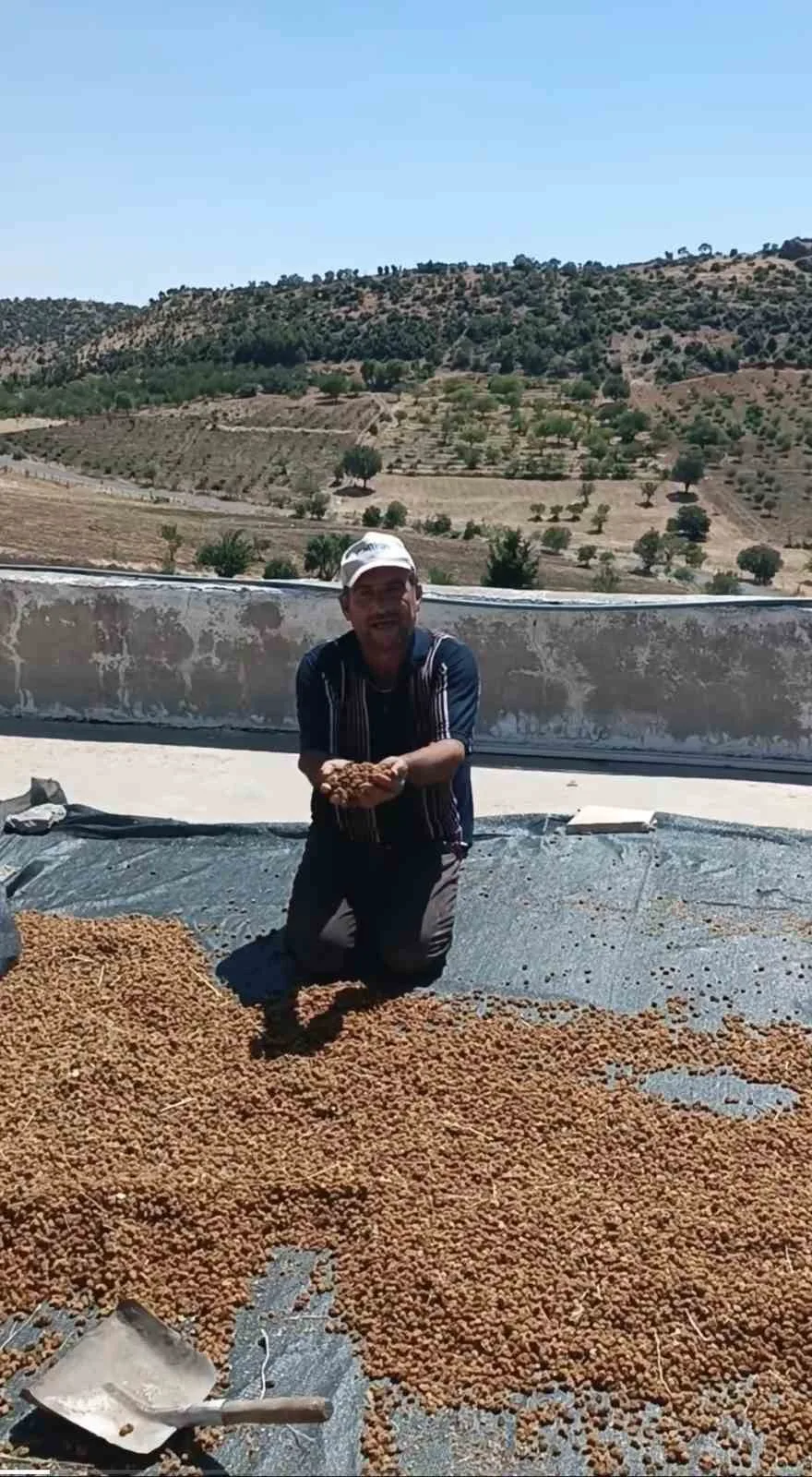 Çermik’te dutlar pazardaki yerini aldı