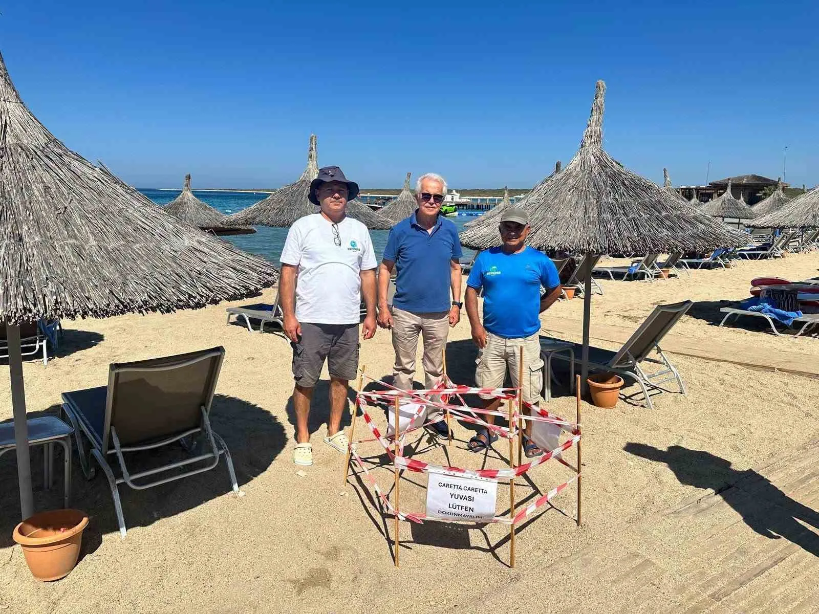 Didim’de 5 yıl sonra aynı plaja dönen caretta yeniden yuva yaptı