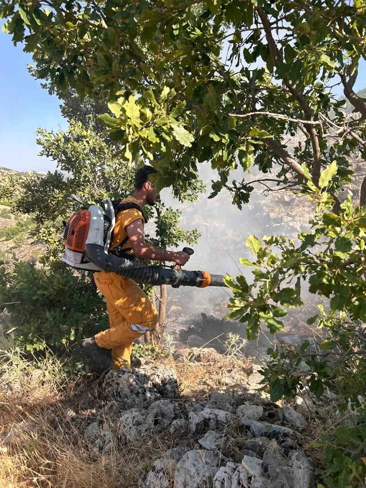 Diyarbakır’da 15 dönüme yakın ormanlık alan yandı