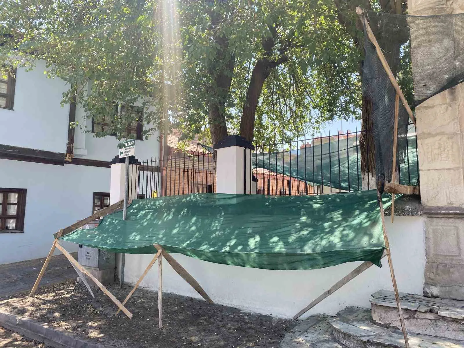 Dökülen dutlar için ağlı önlem
