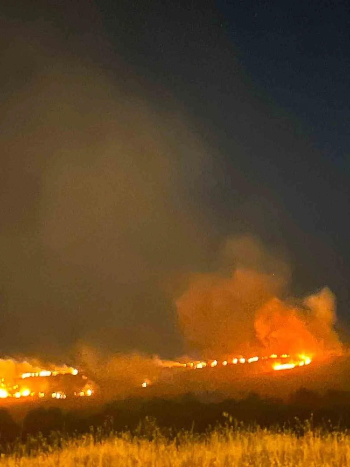 Elazığ’da dağlık alanda yangın paniği