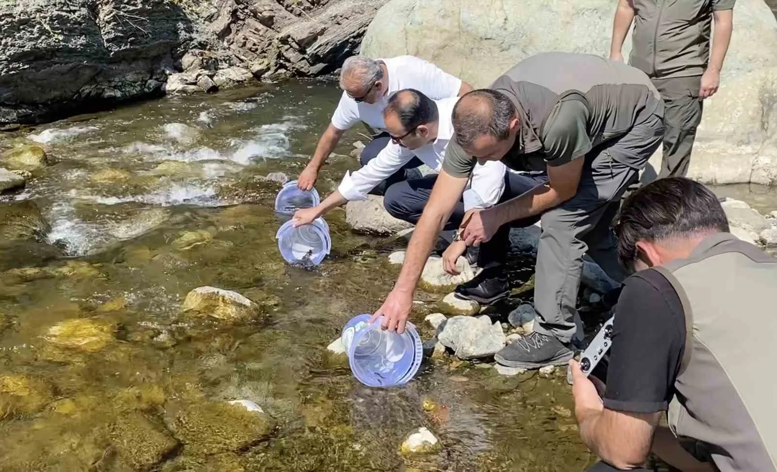 İki sel felaketinden etkilenen İlişi Çayı’na 15 bin alabalık salındı