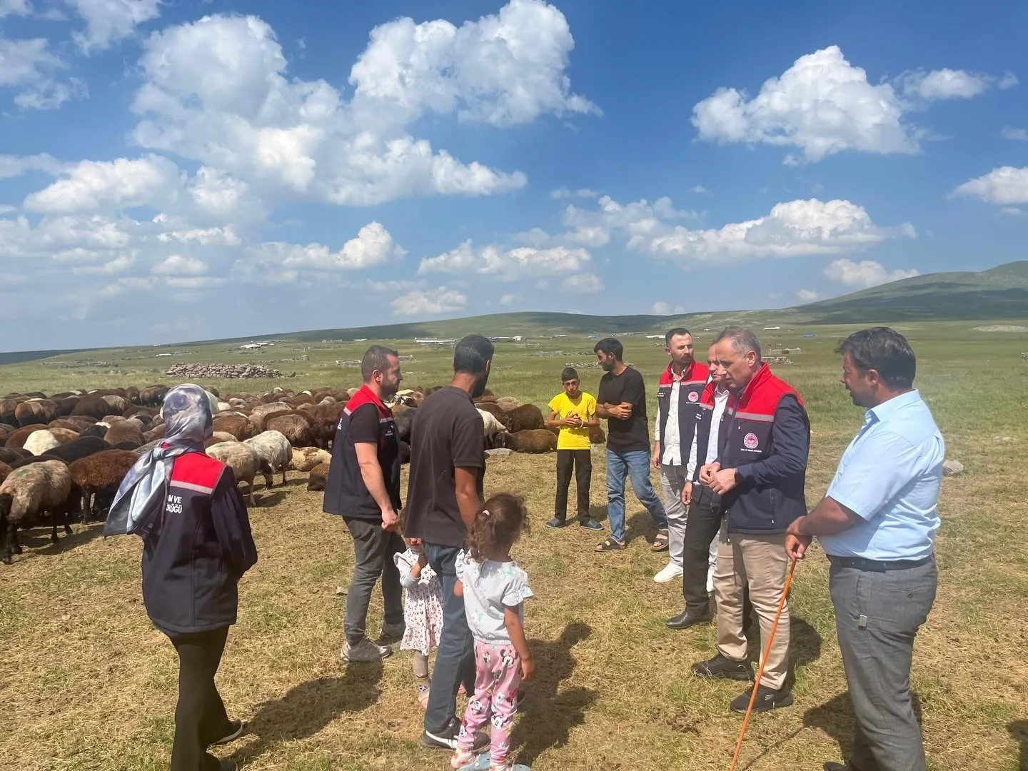Kars’ta yaylalarda hayvancılığa yakın takip
