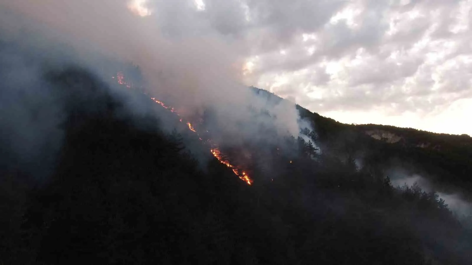 Kastamonu’daki orman yangınına müdahale sürüyor