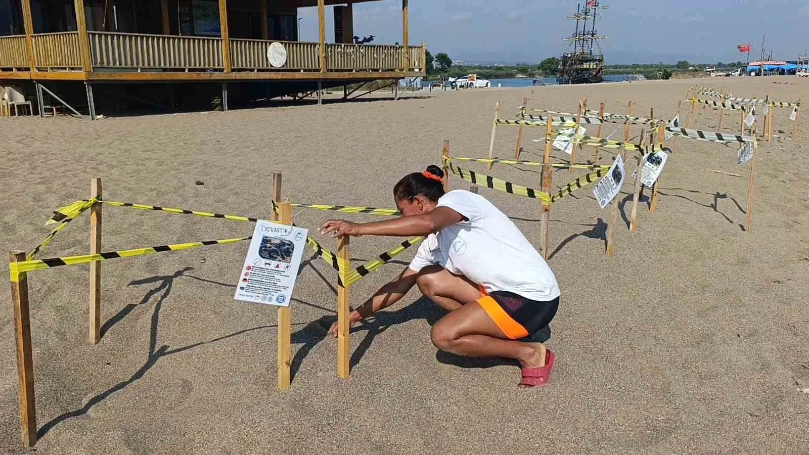 Manavgat’ta caretta caretta yavrularına koruma nöbeti