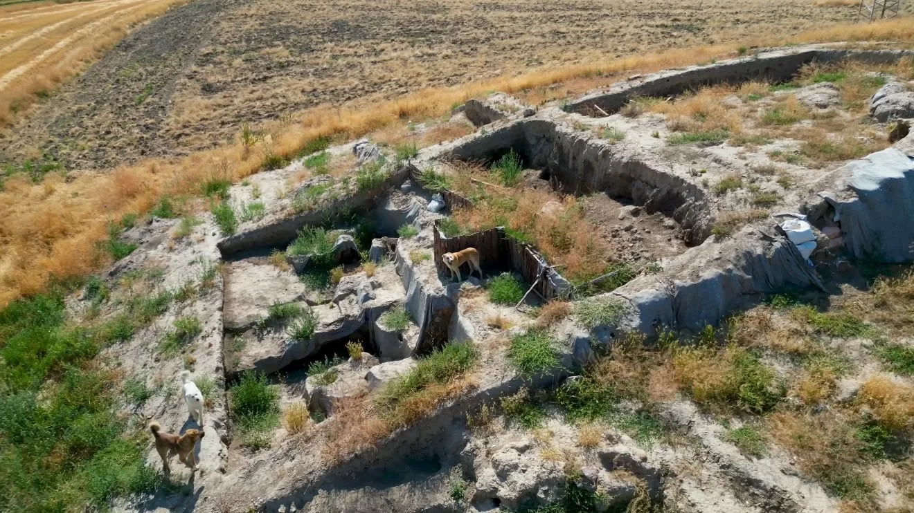 Milattan Önce 2000’li yıllara ait kazı alanı sokak köpeklerinin meskeni haline geldi