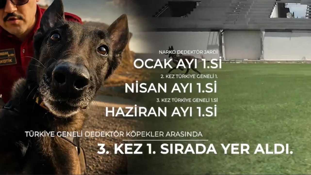 Narkotik köpeği ‘Jardi’ üçüncü kez zirvede