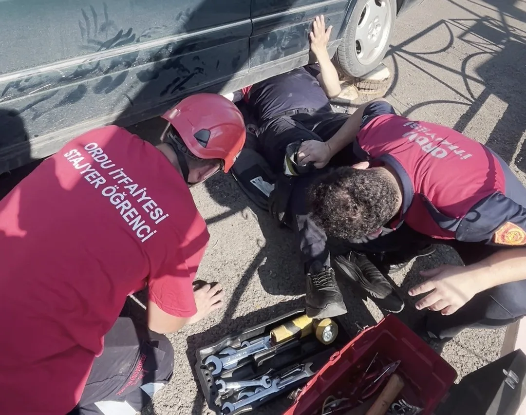 Ordu’da otomobilin egzoz muhafazasına sıkışan yavru kedi kurtarıldı
