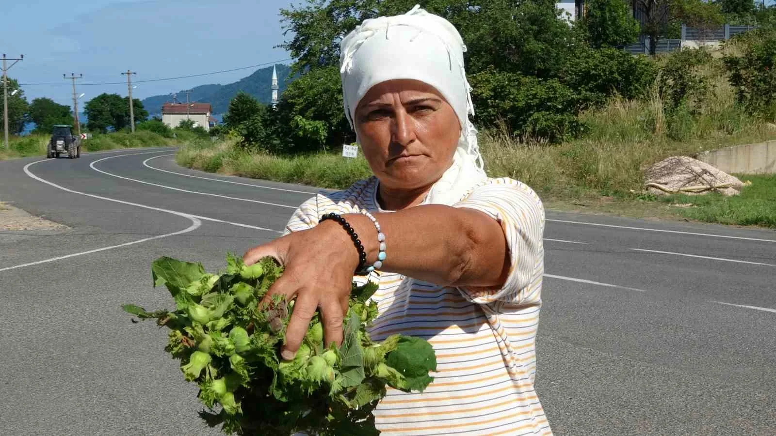 Ordu’da taze fındık tezgahlarda: Kilosu 200 lira