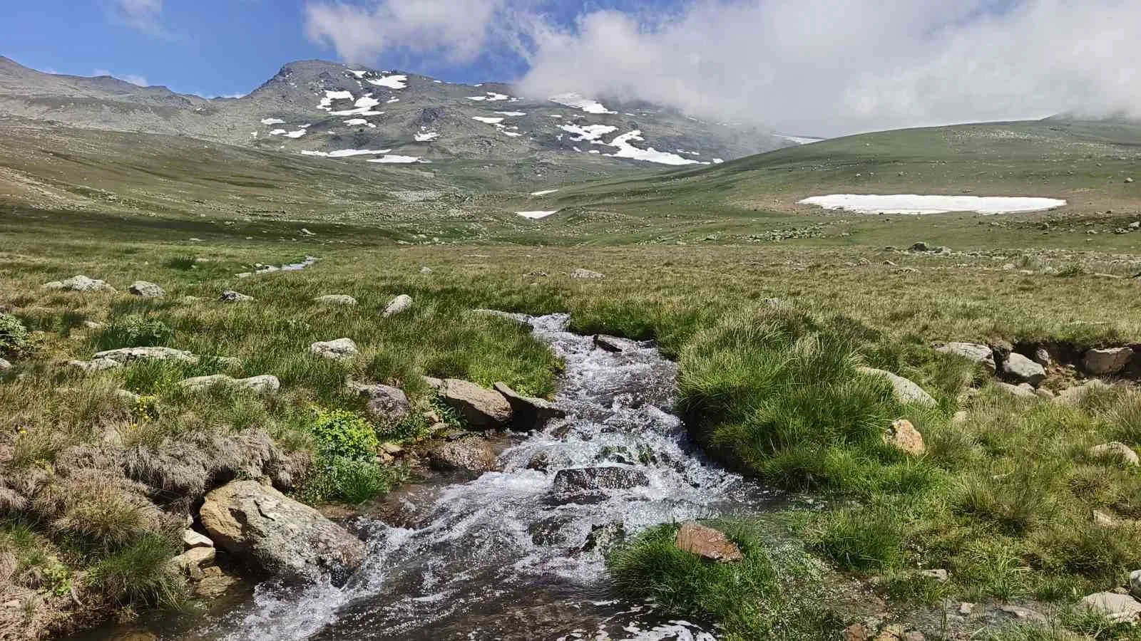 Ordu’nun yaylalarında yaz güzelliği