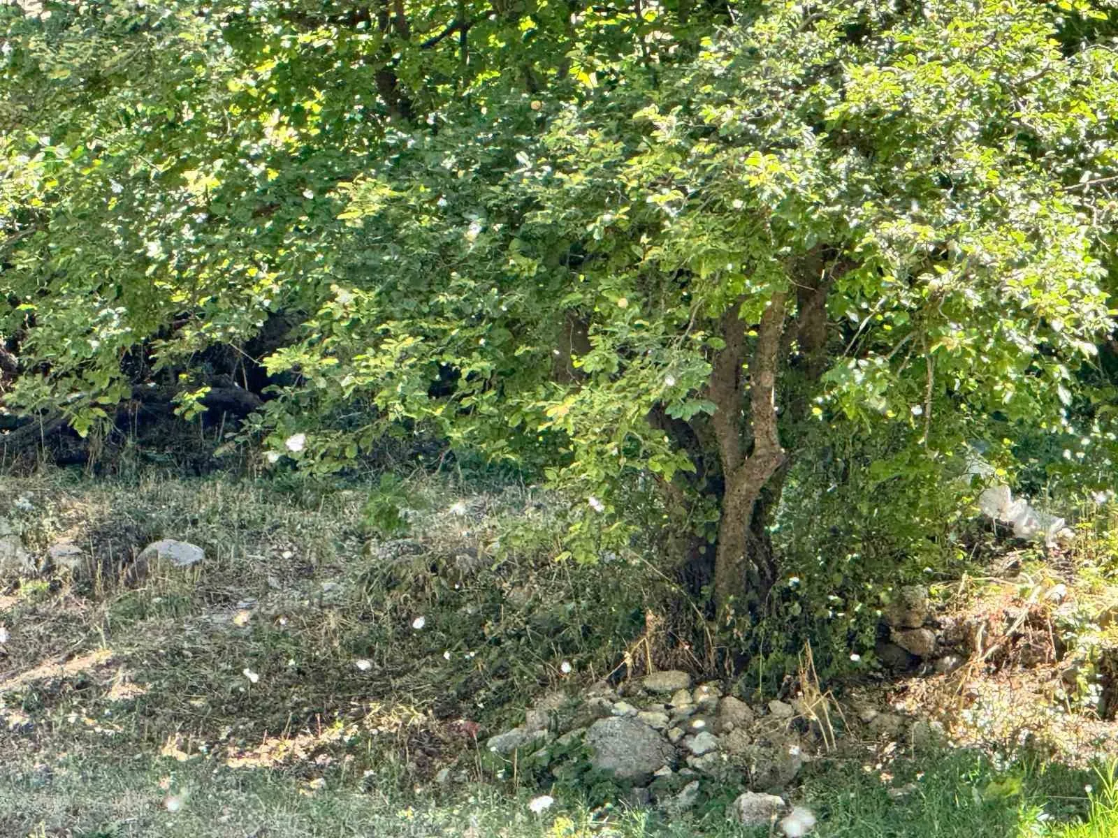 Polenler köyü beyaz örtüyle kapladı