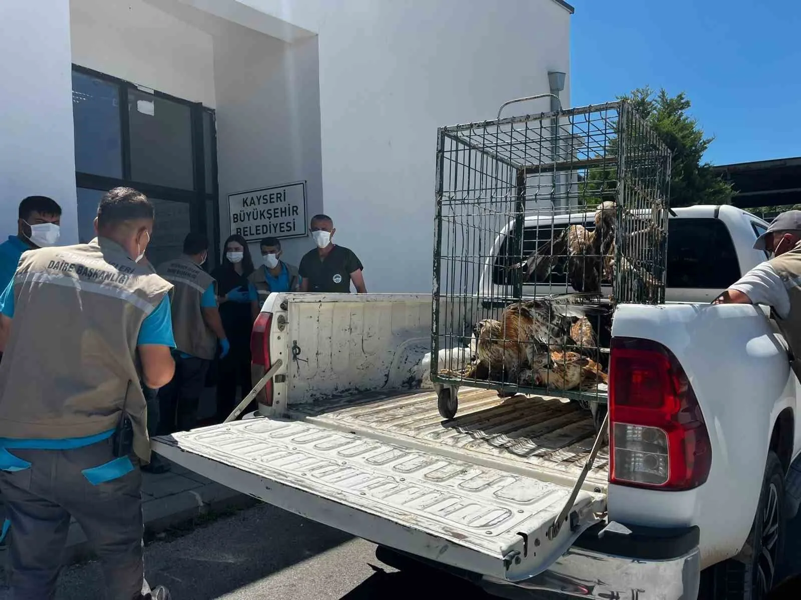 Rehabilitasyonu tamamlanan 35 yaban kuşu doğayla buluşturuldu