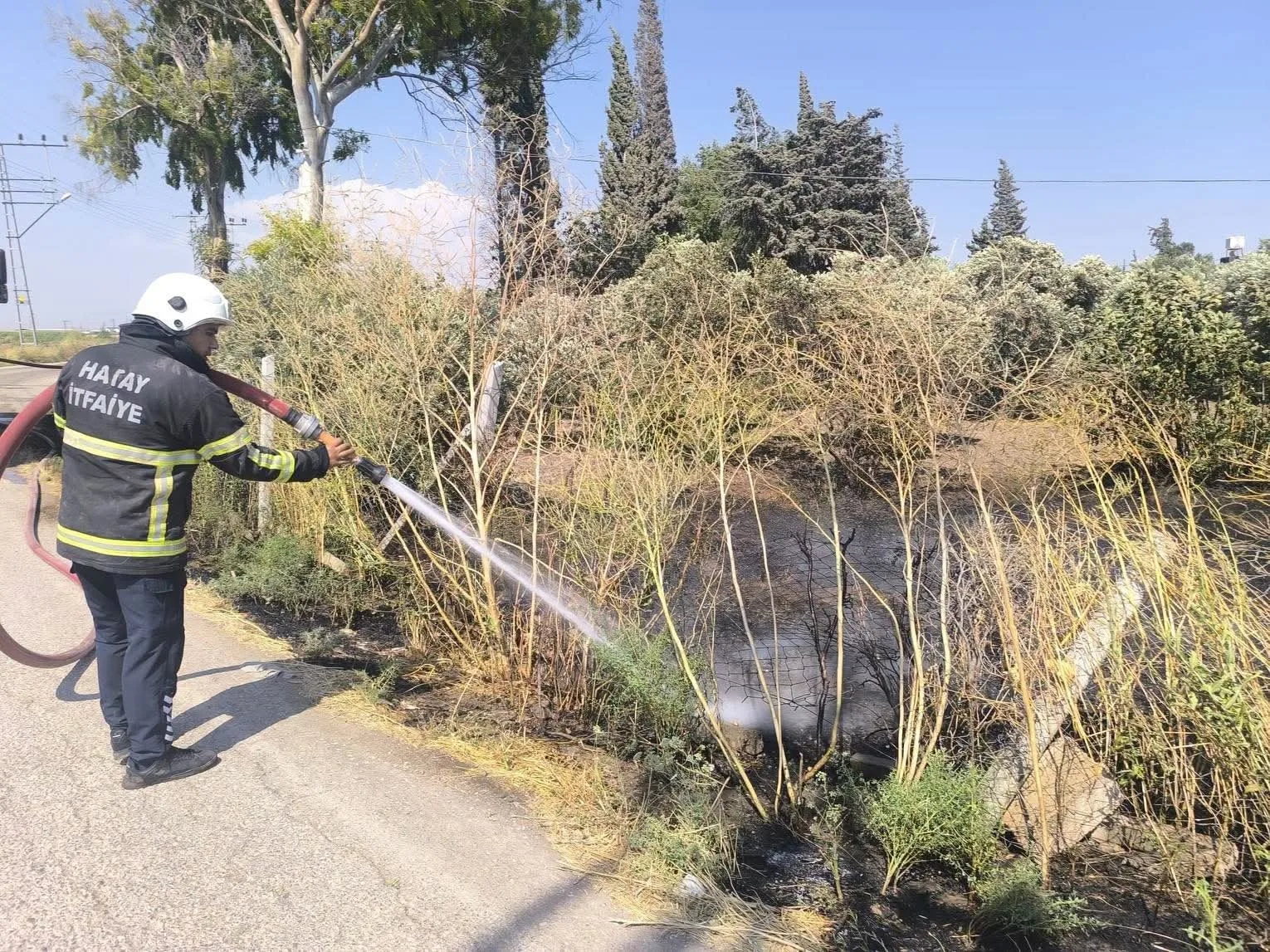 Reyhanlı’da zeytinlik alandan alevler yükseldi