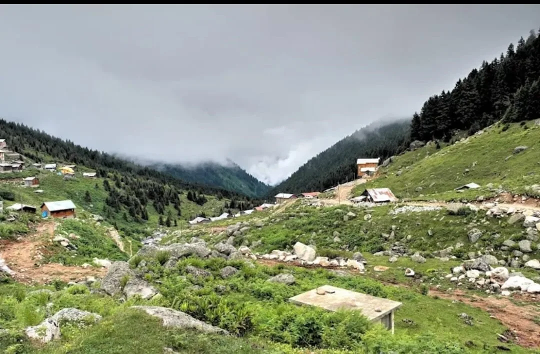 Rize’nin Hamlakit Yaylası’nda kaybolan Rus turistler sağ olarak bulundu