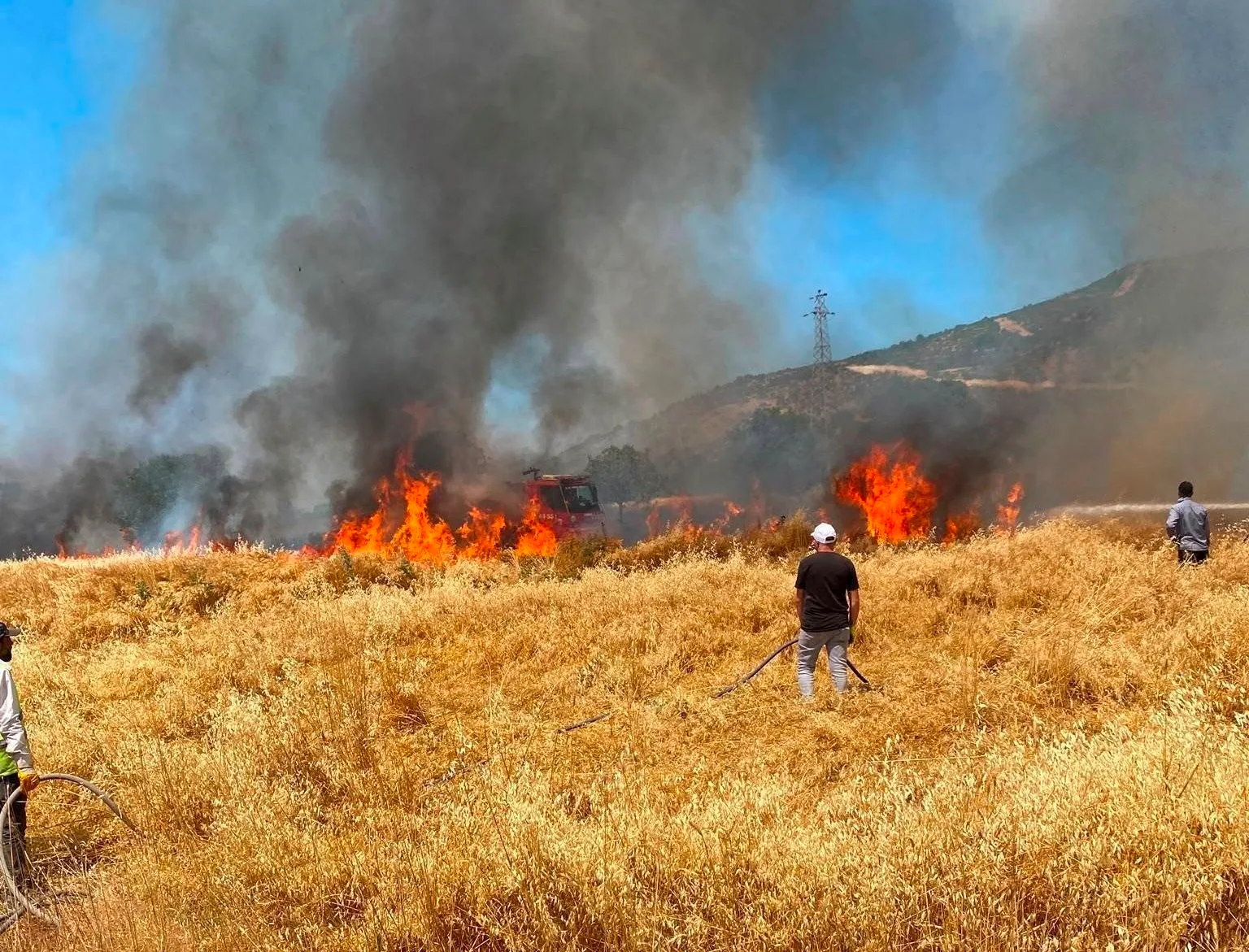 Simav’da buğday tarlasındaki yangında 50 dekar alan zarar gördü