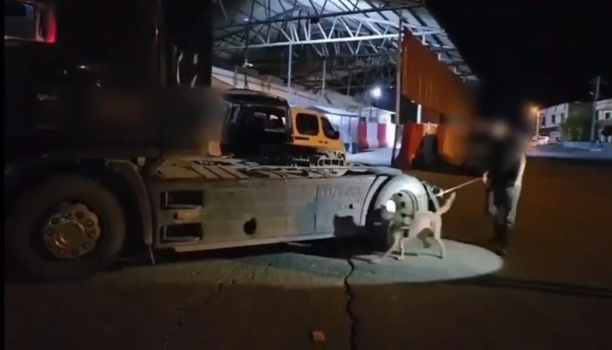 Şırnak’ta zehir yüklü tır uygulama noktasında yakalandı
