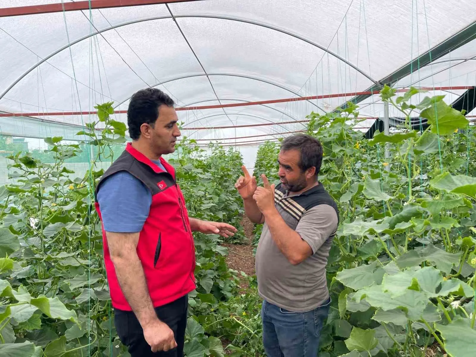 Sulu tarım mevsimlik tarım işçiliğini bitirdi