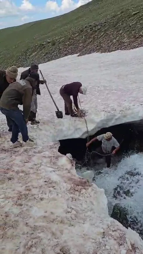 Tortum’da buzullarda dana kurtarma operasyonu
