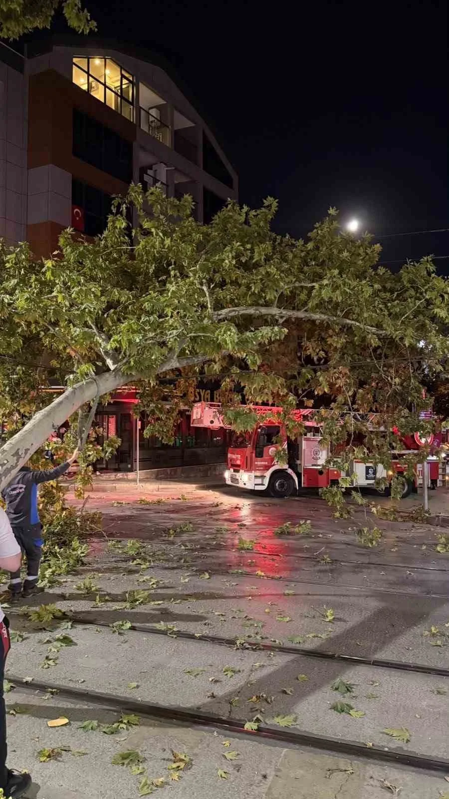 Tramvay hattına düşen dal seferleri aksattı