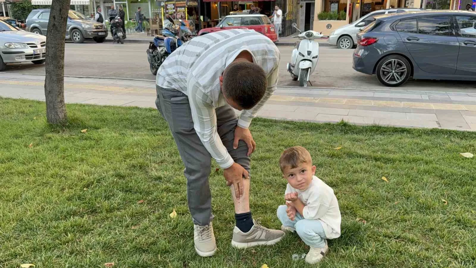 Vücuduna tutunan kene ile yüzük takma merasimine katılan besici, tehlikeyi hiçe sayarak "Keneyi besiye aldık" dedi
